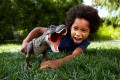JURASSIC WORLD TYRANNOSAURUS REX MEGA RYK 53CM