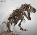 BANDAI - 1/32 Imaginary Skeleton Tyrannosaurus - Model Kit