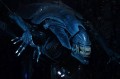 ALIENS - Alien Queen - Ultra Deluxe Figurka 38cm
