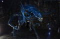 ALIENS - Alien Queen - Ultra Deluxe Figurka 38cm