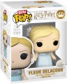 Funko Pop! Bitty: Harry Potter Rubeus Hagrid Fleur Delacour Cedric Diggory Chase