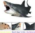 DINOZAUR REALISTYCZNY MEGALODON 28cm JAK ŻYWY BIAŁY REKIN ŻARŁACZ
