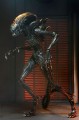 Alien: Romulus Ultimate Figurka akcji Scorched Xenomorph 18 cm Neca