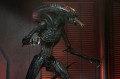 Alien: Romulus Ultimate Figurka akcji Scorched Xenomorph 18 cm Neca