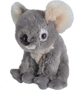 Wild Republic miś koala 17cm maskotka pluszak edukacyjna