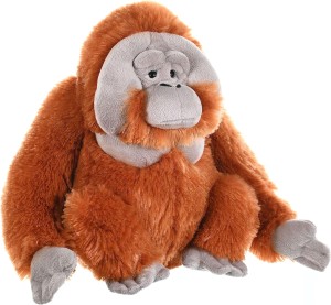 Wild Republic Orangutan Małpa 30cm maskotka pluszak edukacyjna