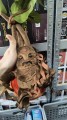 Harry Potter Maskotka Mandragora 30cm outlet