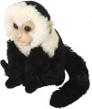 Wild Republic Małpka Kapucynka 20cm maskotka pluszak edukacyjna Capuchin Plush
