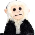 Wild Republic Małpka Kapucynka 20cm maskotka pluszak edukacyjna Capuchin Plush