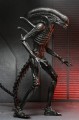 Alien: Romulus Ultimate Xenomorph XX121 18 cm Figurka akcji