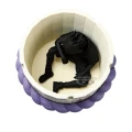 NARUTO - Sasuke's Coffin - Figurka Figurka Life 10cm
