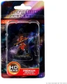 D&D Icons of the Realms Premium Figurka Male Dragonborn Fighter Low Level