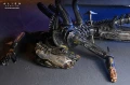 Alien: Romulus Deluxe Suspended Lab Xenomorph XX121 18 cm Figurka akcji