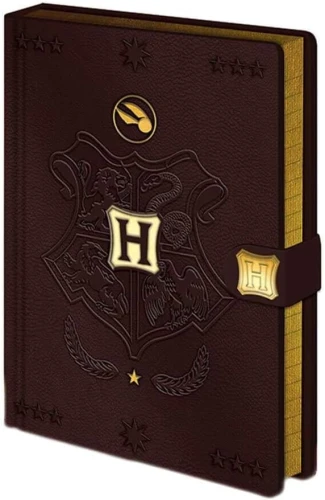 HARRY POTTER - Quidditch - Notebook A5 Premium Notes