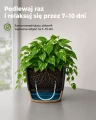Bamworld Zestaw 6 Doniczek Samonawadniających Czarne z Podstawkami