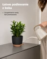 Bamworld Zestaw 6 Doniczek Samonawadniających Czarne z Podstawkami
