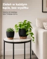 Bamworld Zestaw 6 Doniczek Samonawadniających Czarne z Podstawkami