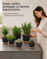 Bamworld Zestaw 6 Doniczek Samonawadniających Czarne z Podstawkami