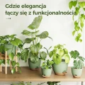 Bamworld Doniczki Samonawadniające 6 szt. Plastik z Podstawkami Doniczek