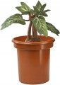 Harry Potter Maskotka interaktywna Mandragora 30cm